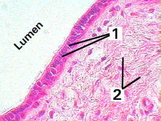Fig 15-002