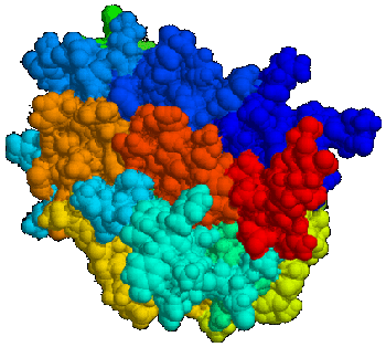 erythropoietin