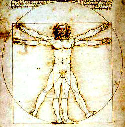 Endocrine organs