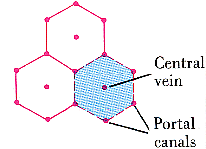 Fig RR481-01