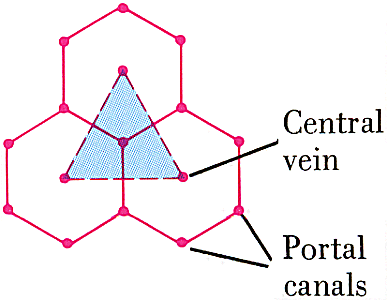 Fig RR481-02