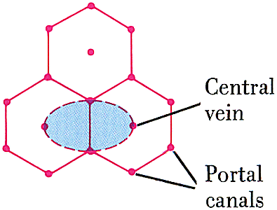 Fig RR481-03