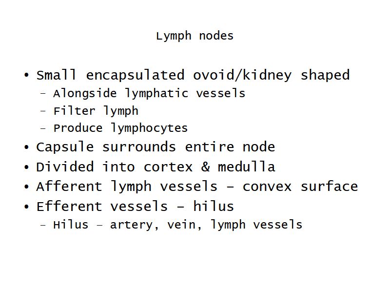 Lymphoid System